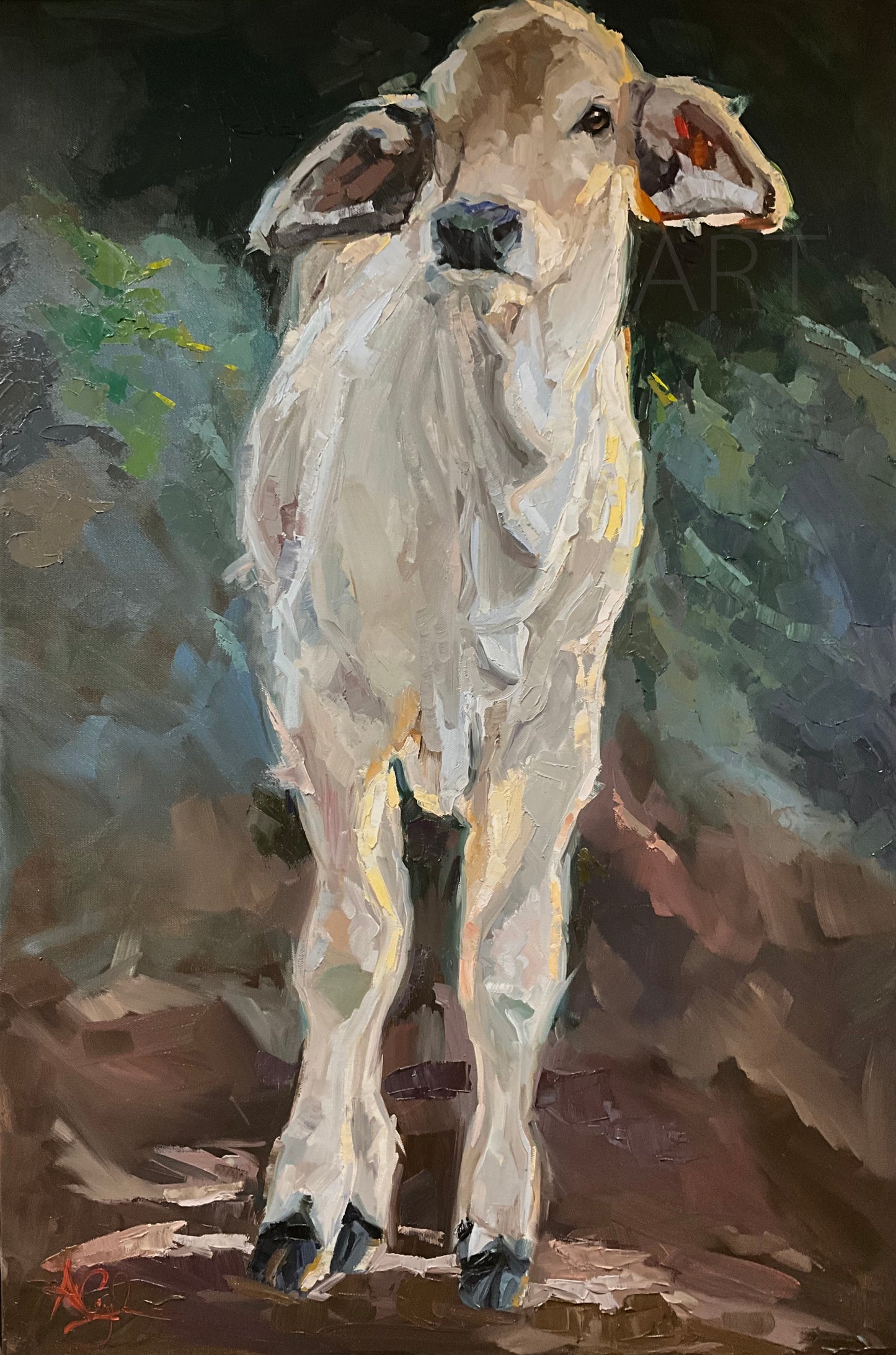 Rolling Velvet- Art Print