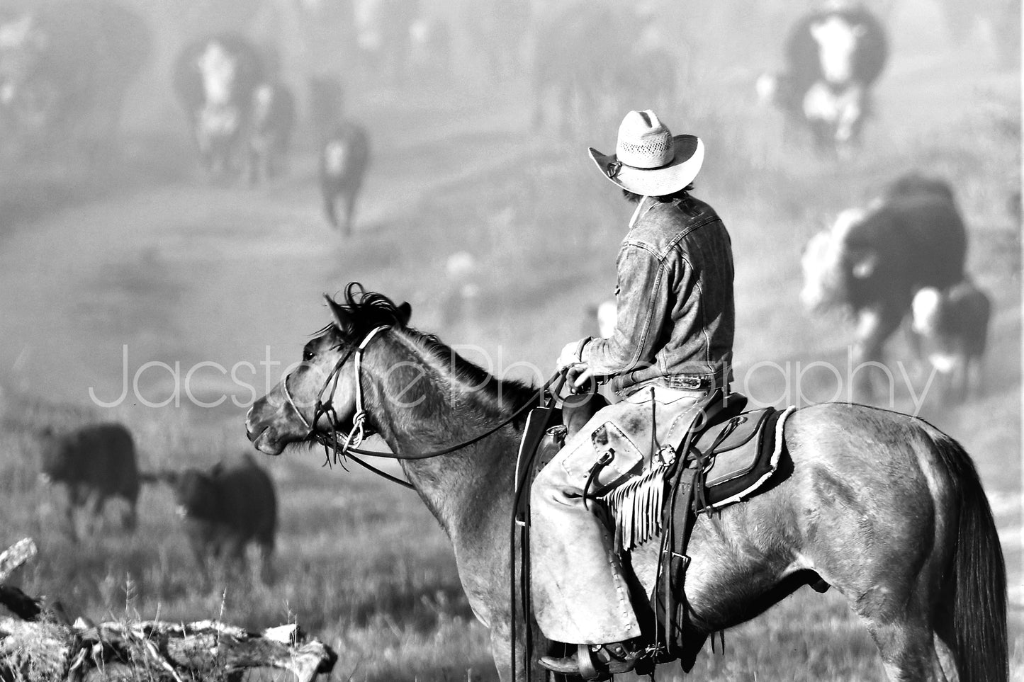 “The Push” Western Cowboy & Horse Black and White Photography