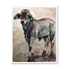 Calamity Jane-Brahman Calf Art Print