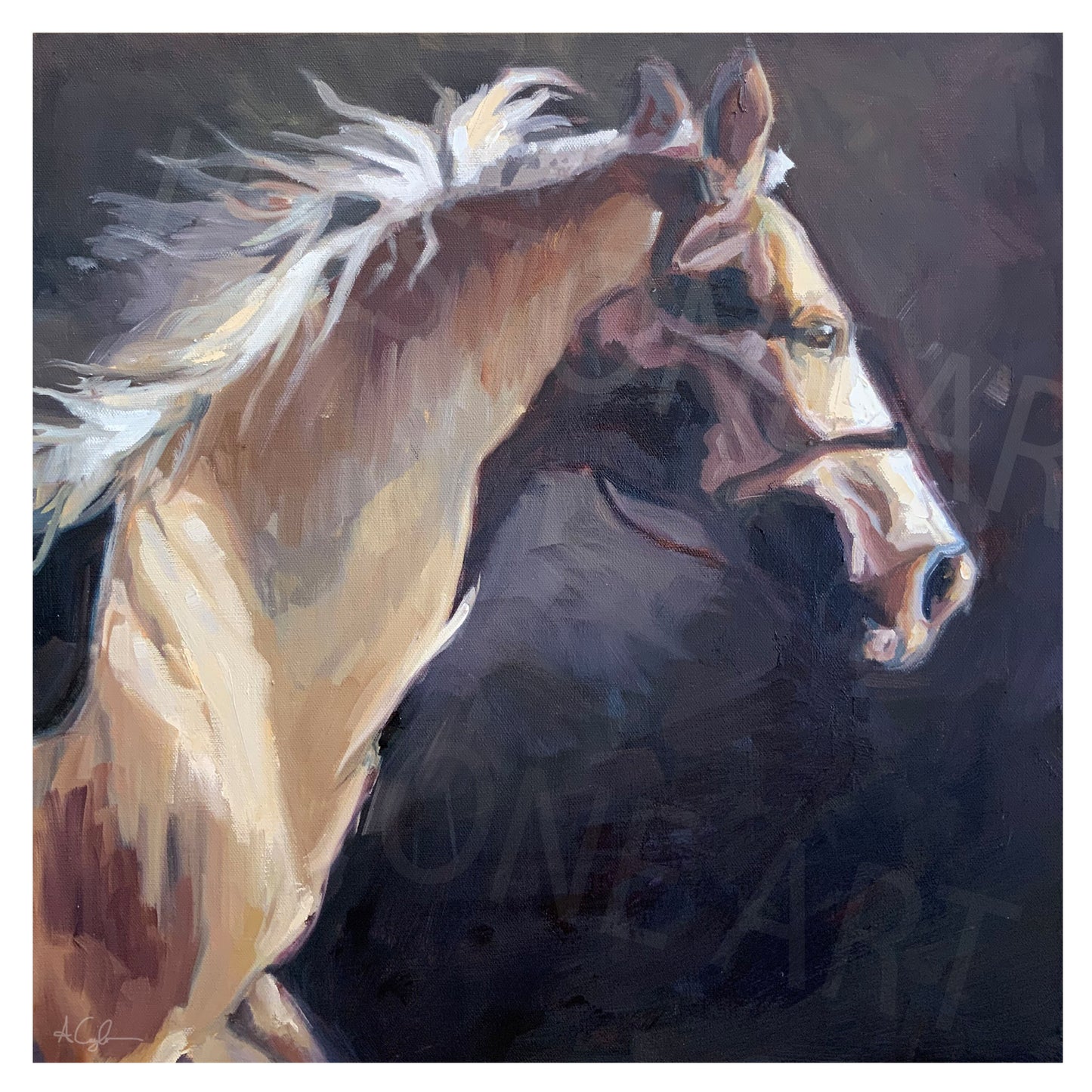 Midnight In Training- Art Print