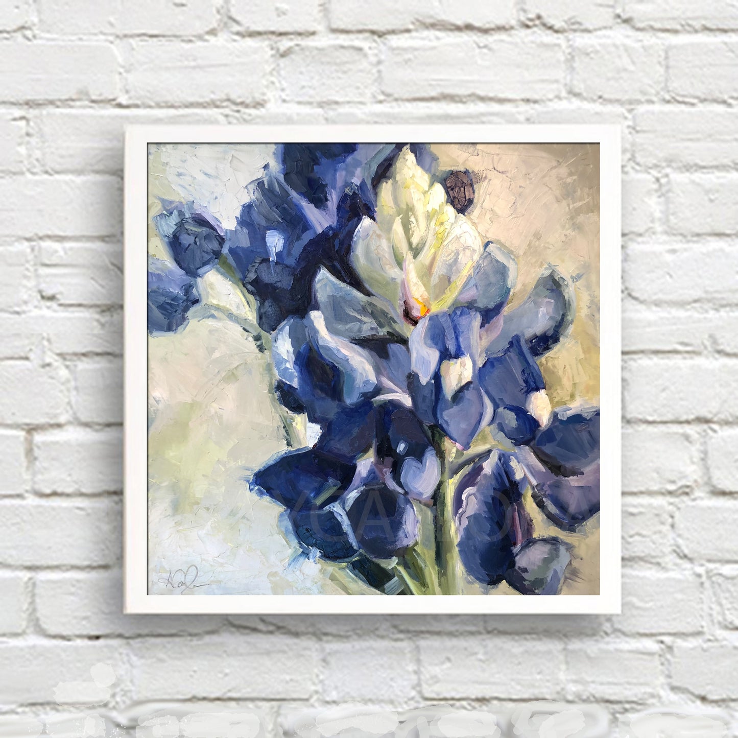 Spotted Concho in Blue- Art Print