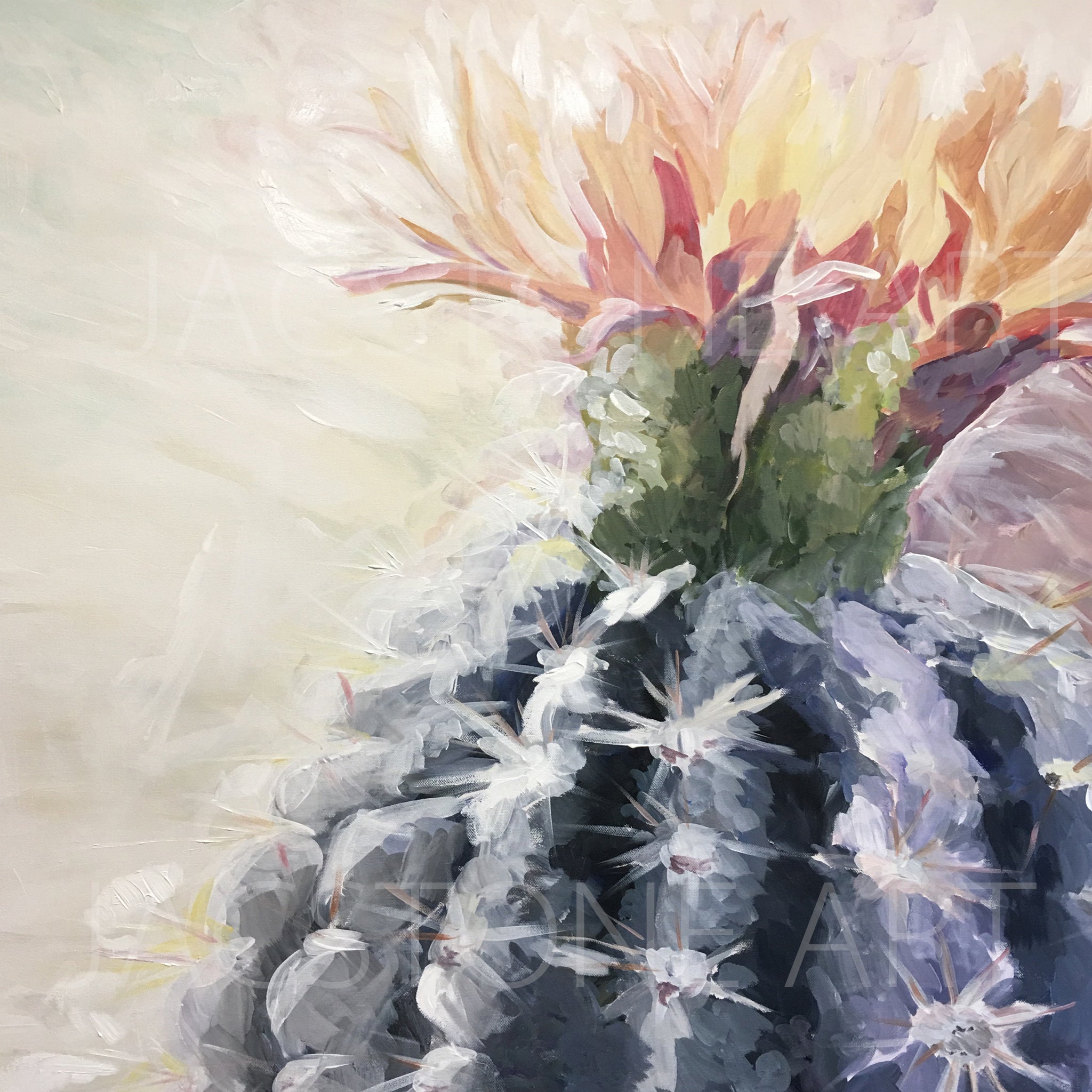 Cactus Bloom- Canvas Print – Jacstone Art