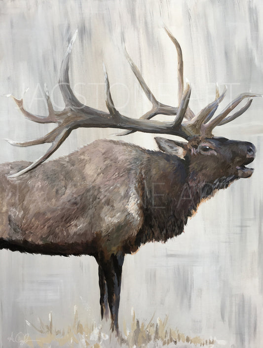 Elk Call- Art Print