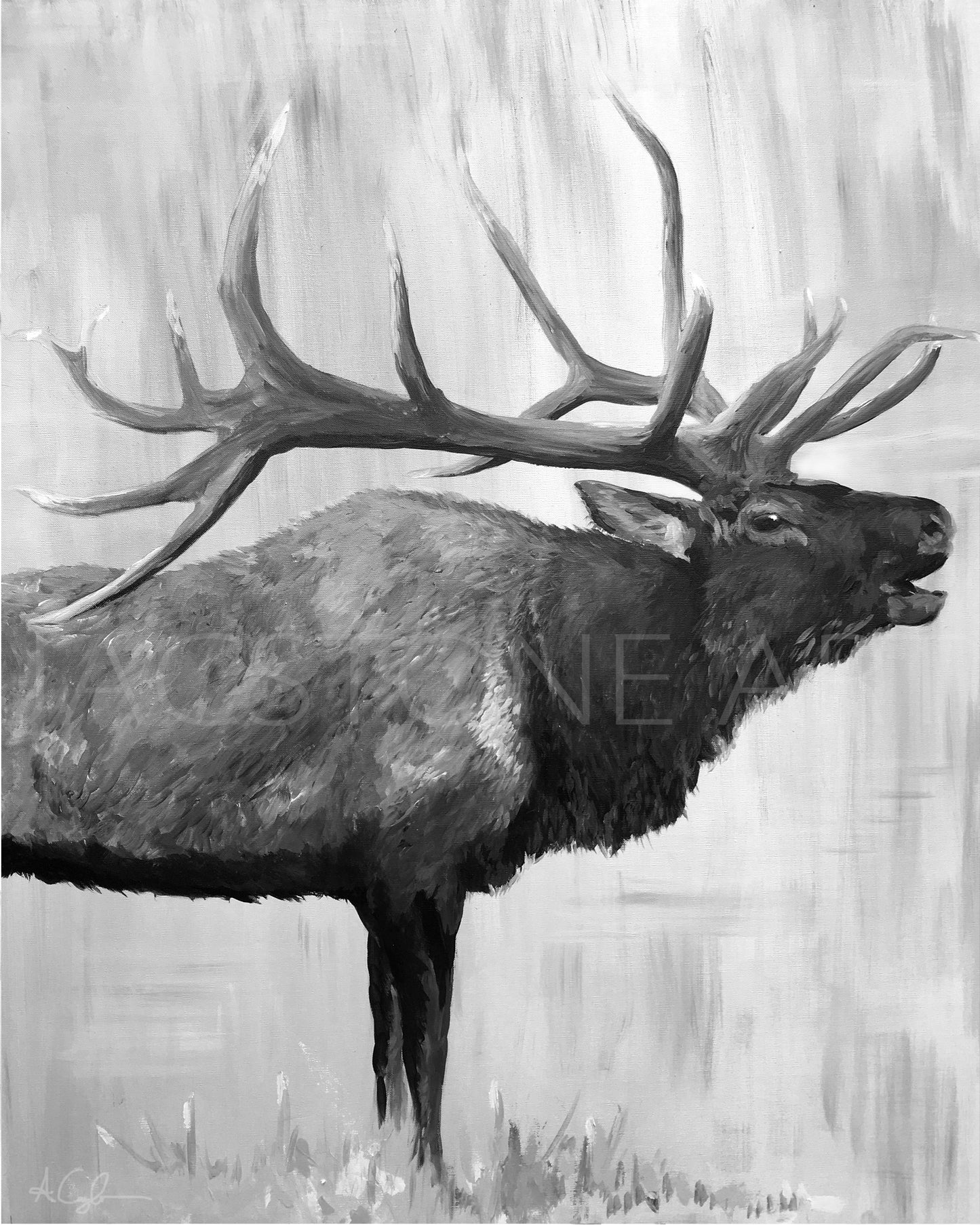 Black and White Elk Call- Art Print