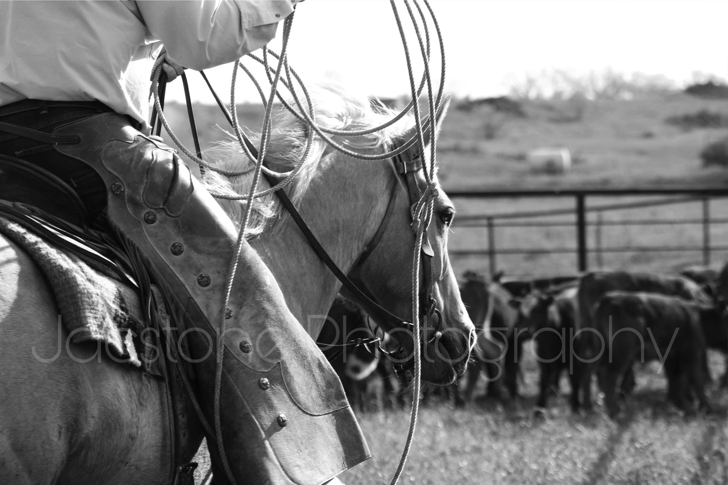 “Bridled Plans” Western Cowboy & Horse Black and White Photography