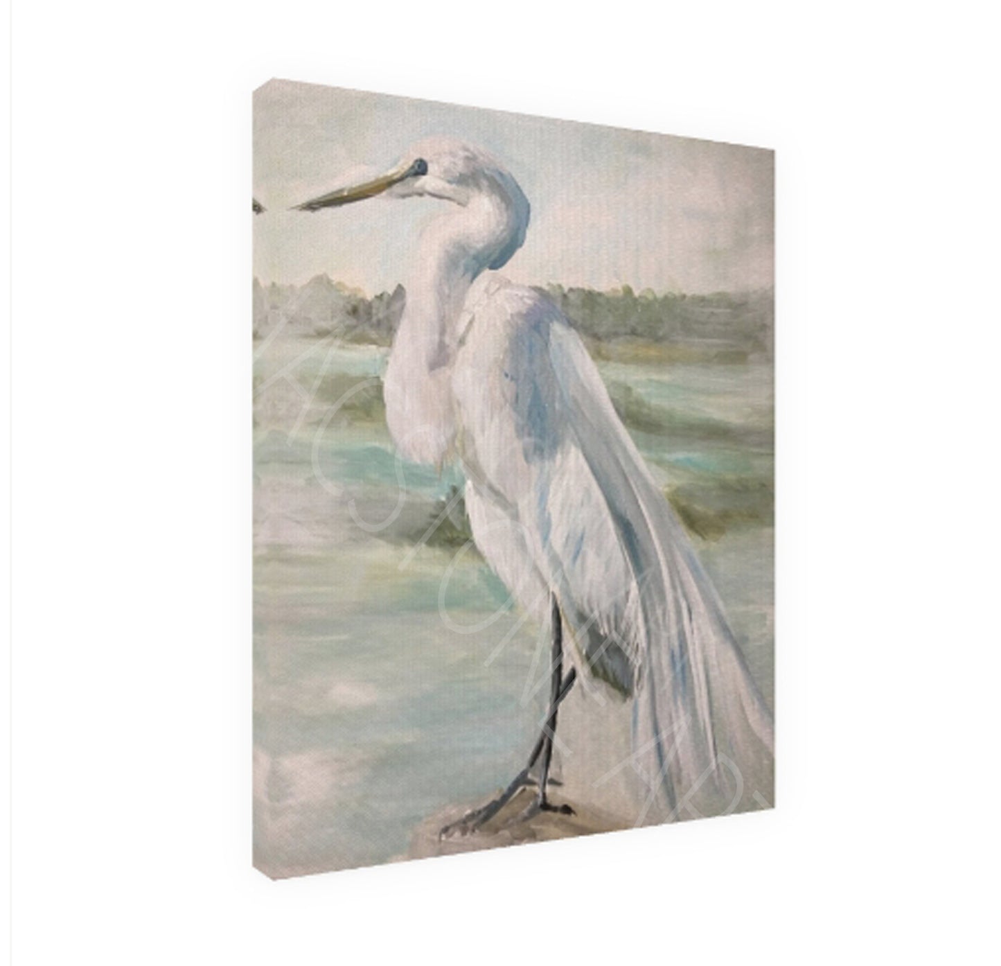 Plumage- Canvas Print