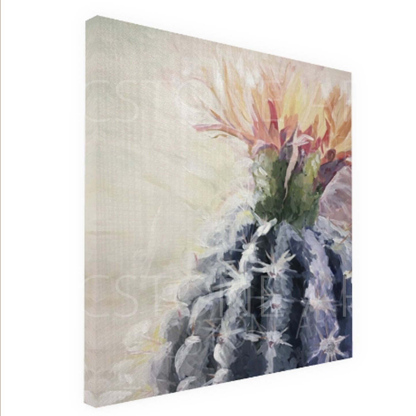 Cactus Bloom- Canvas Print