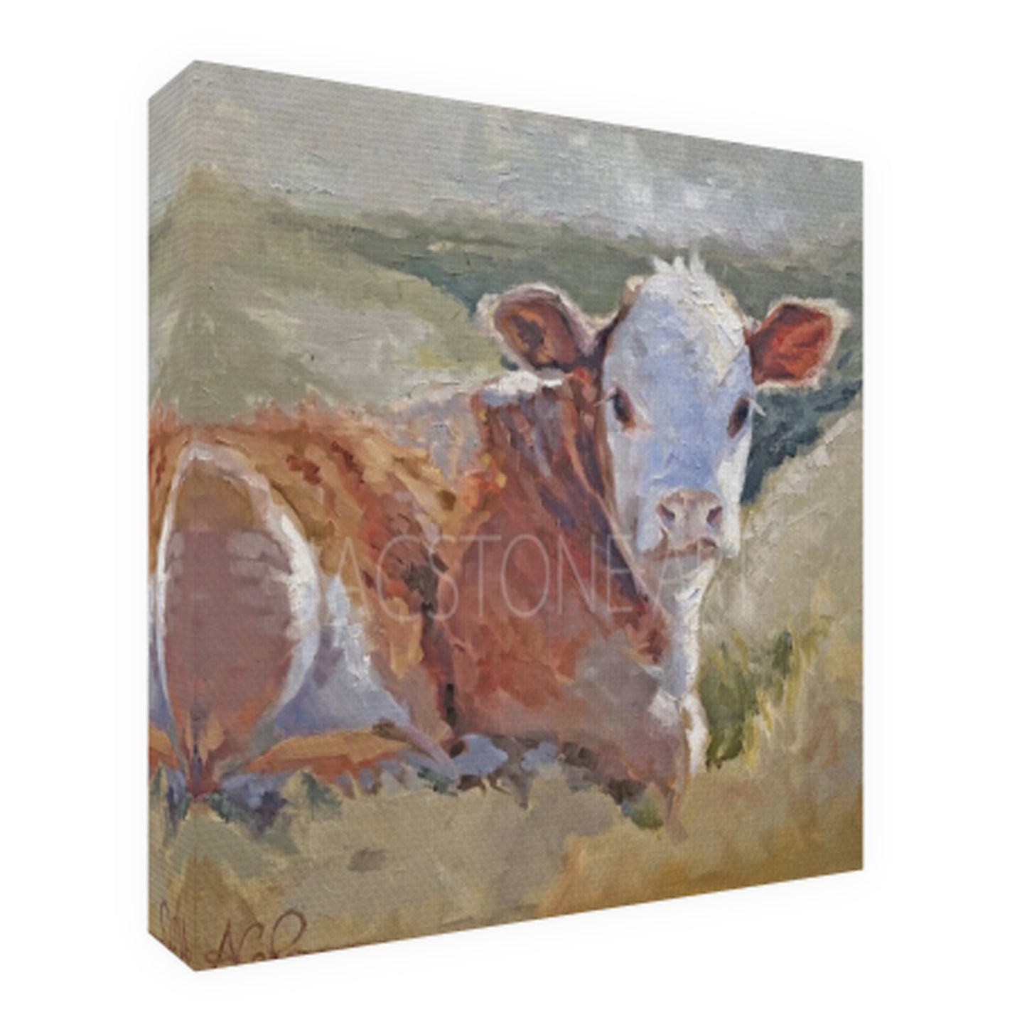 Buckaroo At Twin Canyons- Canvas Art MINI