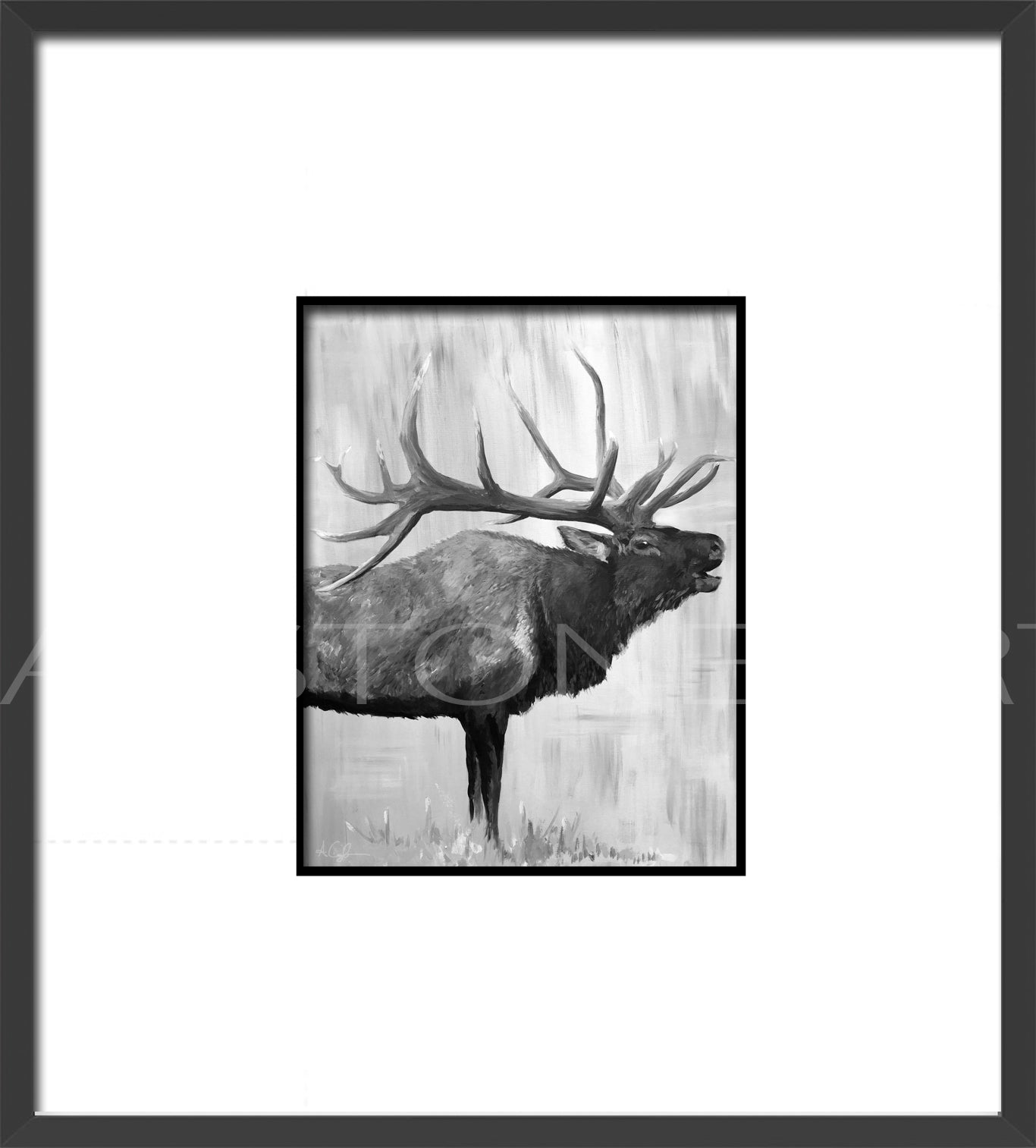 Black and White Elk Call- Black Frames Fine Art Giclee-Veranda