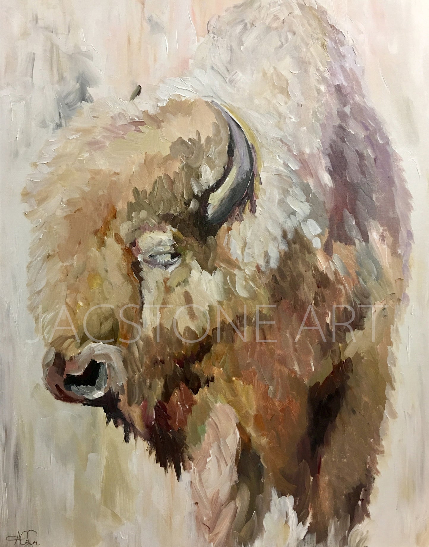 Buffalo Bill- Giclee Gallery Wrapped Canvas on Gold Floater Frame