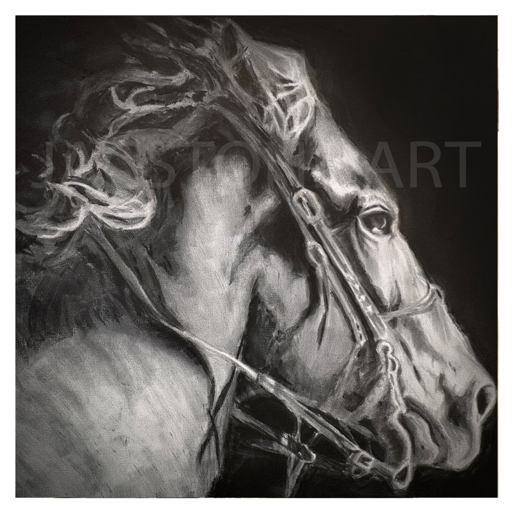 Into The Night-Black and White Charcoal Sketch- Horse Art Print