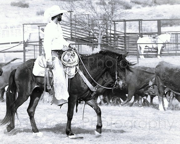 “Edgy” Western Cowboy & Work Horse Black and White Photography