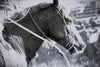 “Sharp” Western Cowboy & Horse Black and White Photography