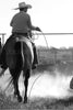 “Closed Loop” Working Horse and Cowboy Black and White Photography