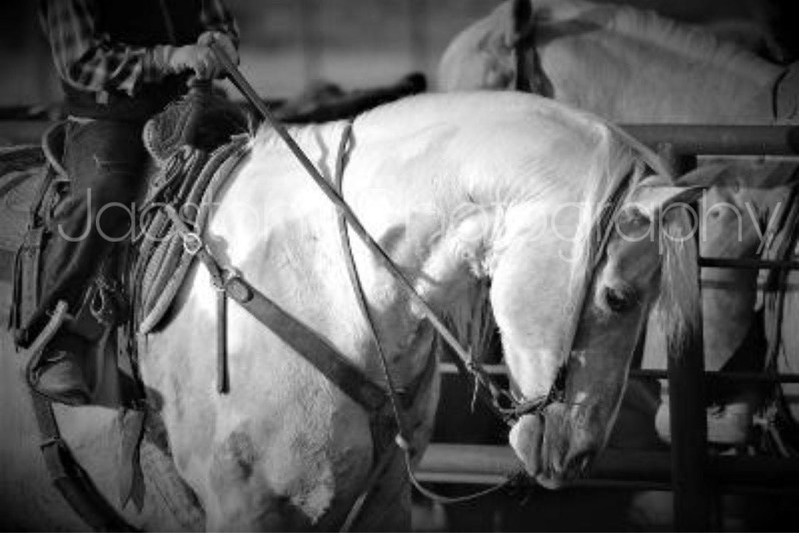 “Gentle Mount” Western Cowboy & Horse Black and White Photography