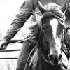 “No Slack” Cowboy and Horse Western Black and White Photography