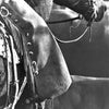 “Silver And Hide” Cowboy Gear and Tack Western Black and White Photography