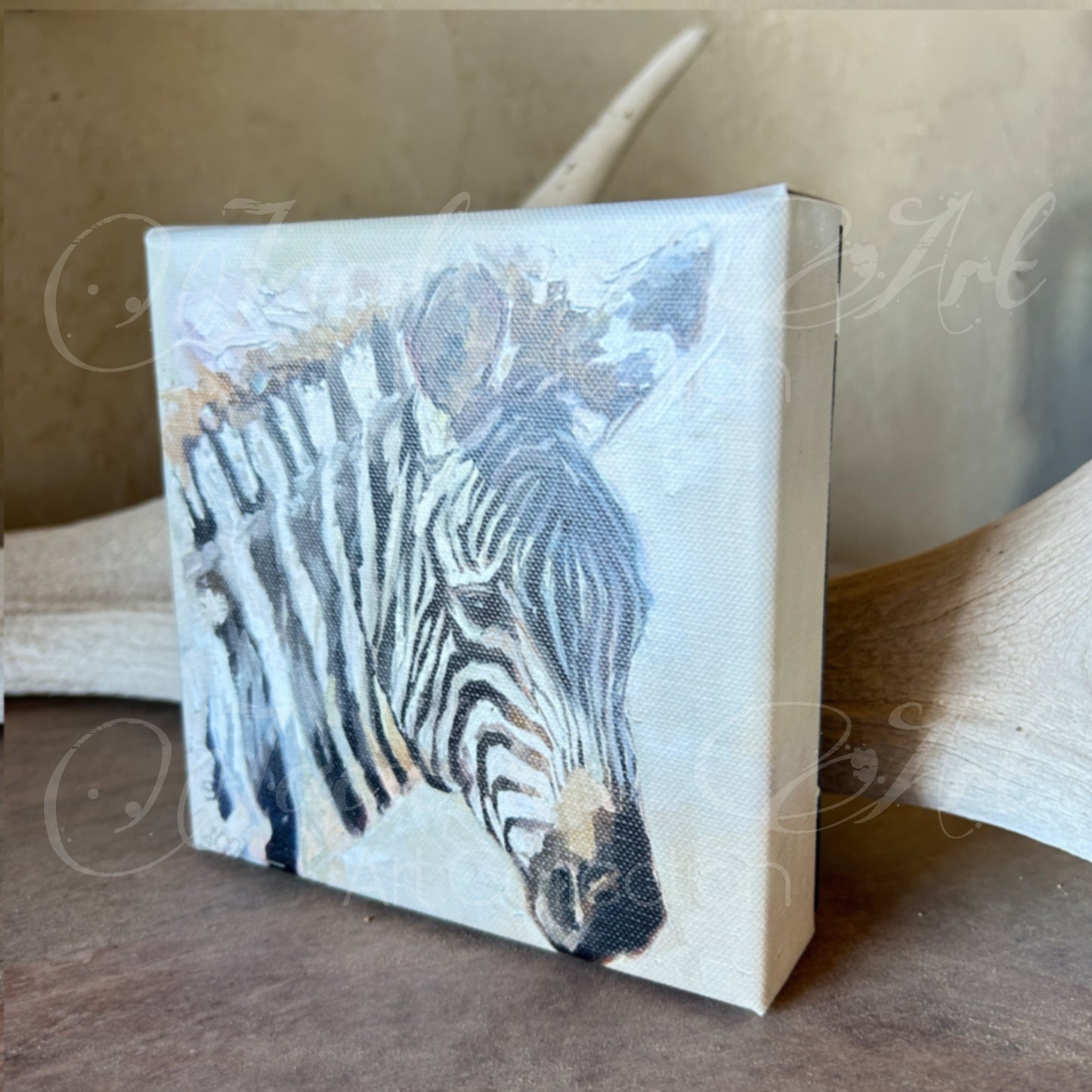 Quagga- Canvas Art MINI